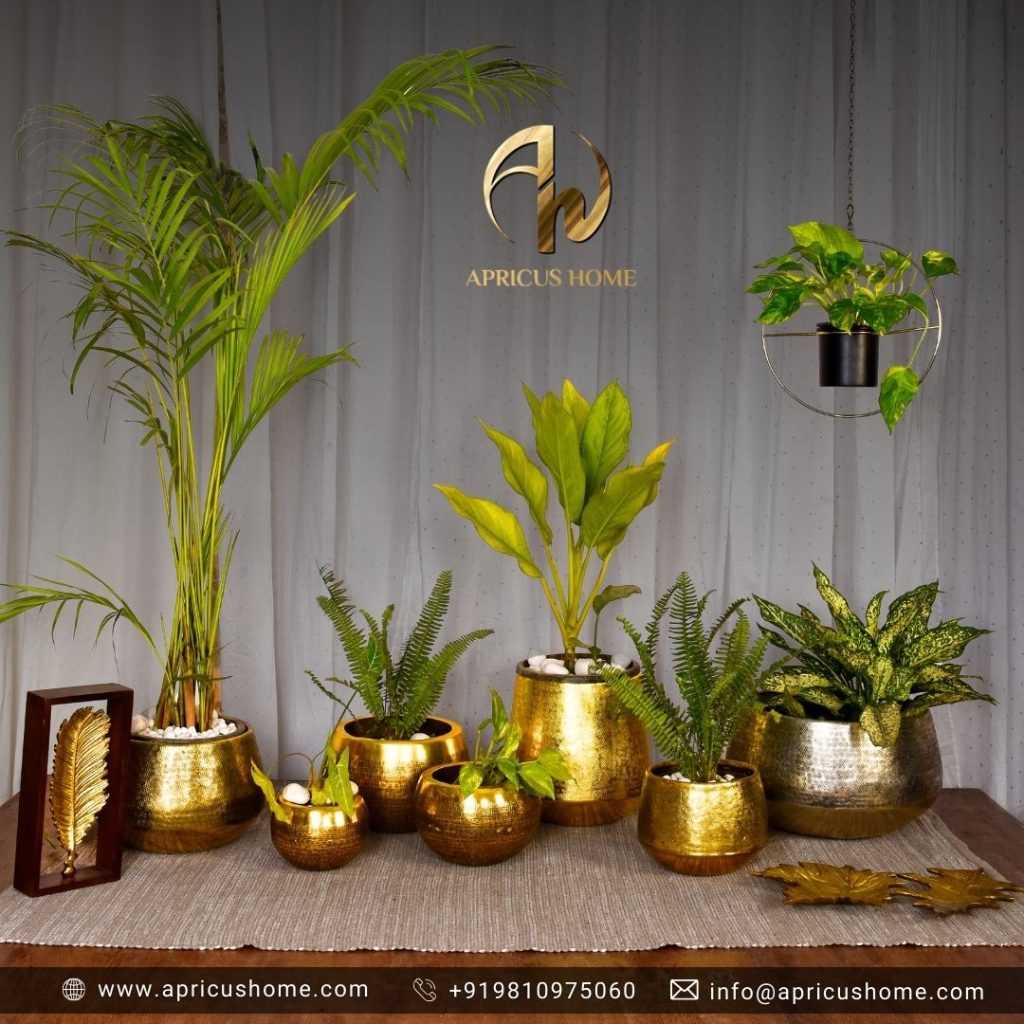 Decorative Vases & Planters