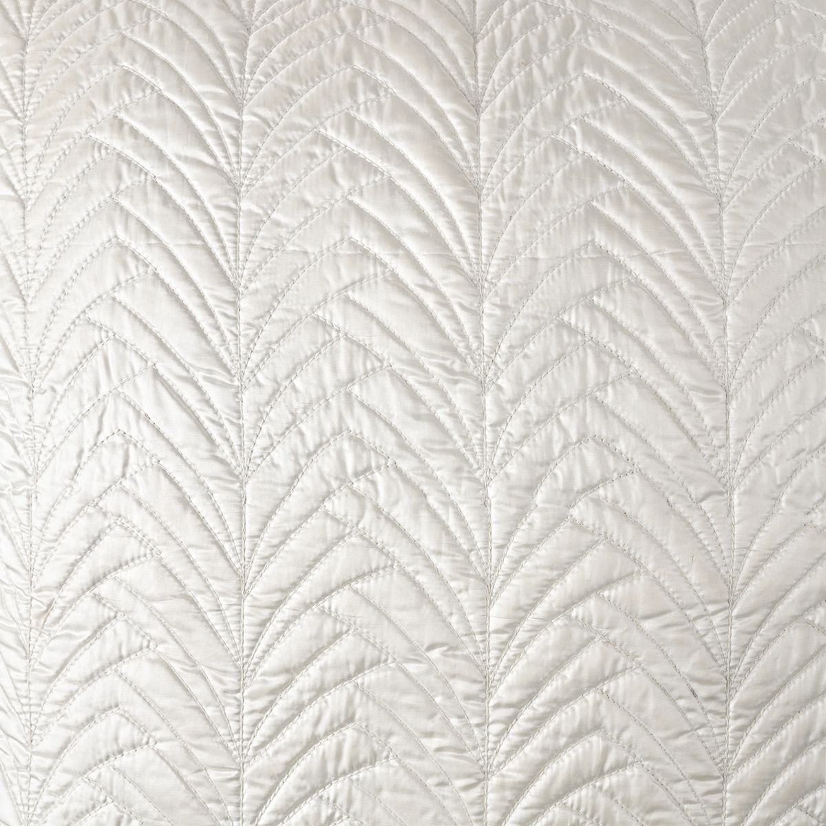 gold-white2 gold-white2